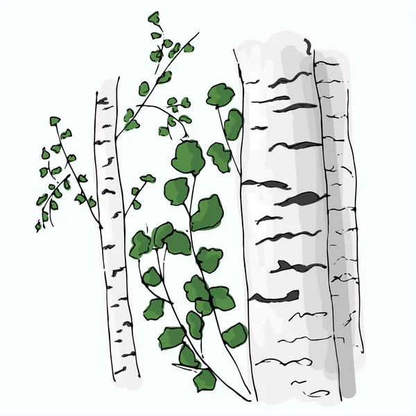 绿叶杨树的病媒图解 — 图库矢量图片