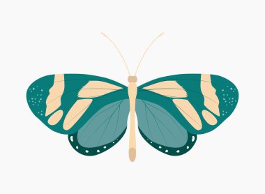Tasarım, logo veya simge için sakin yeşil ve mavi renkte tropik kelebek