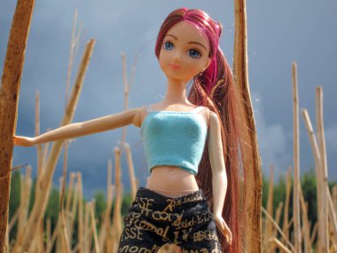 Parlak pembe saçlı, kısa saçlı, moda bebeği.