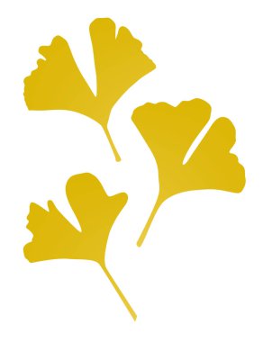 Üç siluet gingko yaprağı.