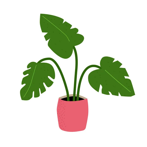 Pink Pot Dengan Tanaman Rumah Monstera - Stok Vektor