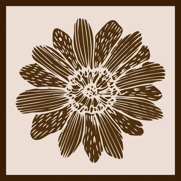 Скетч Рослини Адоніс Простому Стилі — стоковий вектор