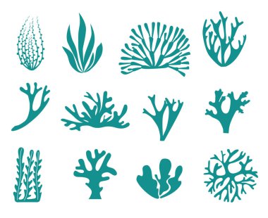 İzole edilmiş simgeler, deniz yosunu ve mercan siluetleri oluşturur.