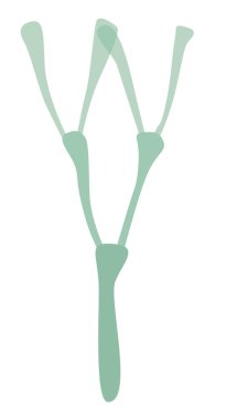 Su altı yosunlarının el yapımı elementleri beyaz bir arkaplanda izole edilmiş.