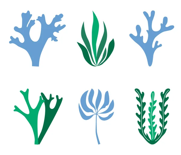 Ensemble Algues Bleues Vertes Sur Fond Blanc — Image vectorielle