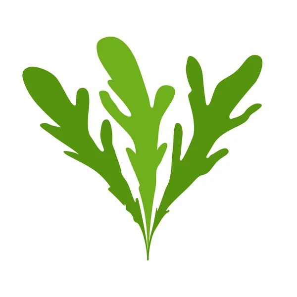 Zielona Sylwetka Sałatki Rukoli Białym Tle Projektowania Logo Ikony — Wektor stockowy
