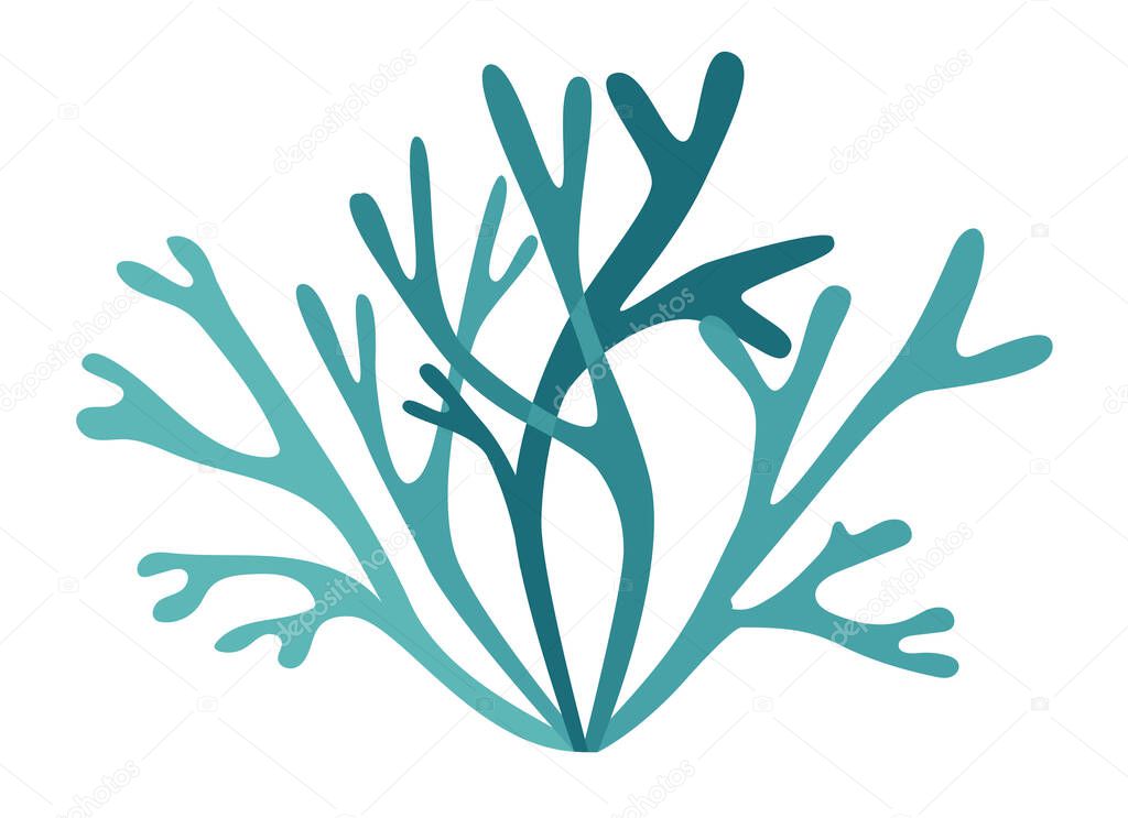 Silhouette of lichen or seaweed