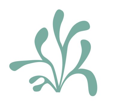 Bitki krallığının logosu, yosunlar, yosunlar, deniz yosunları,.