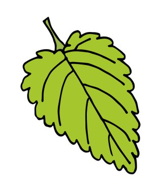 Melissa yeşil yaprak karalama stili