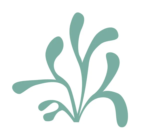 Bitki krallığının logosu, yosunlar, yosunlar, deniz yosunları,.