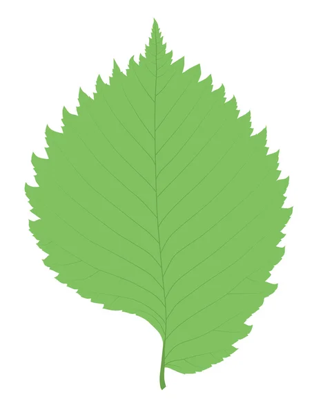 Feuille Orme Vert Silhouette Unique Forme Feuille — Image vectorielle