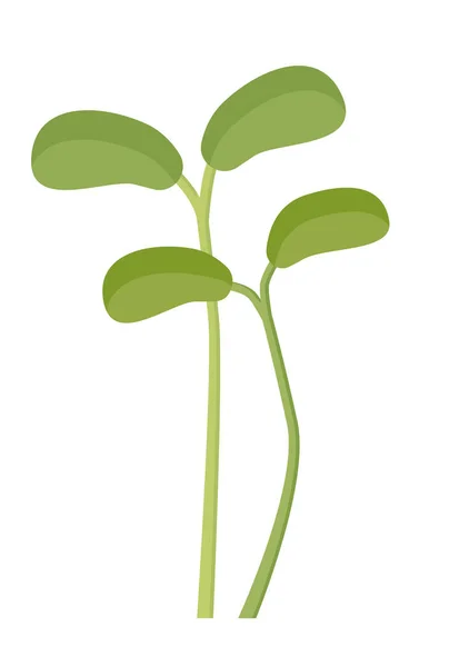 Mikrozielone Pędy Pierwsze Liście Koniczyny Płaska Ilustracja Logo Ikon — Wektor stockowy