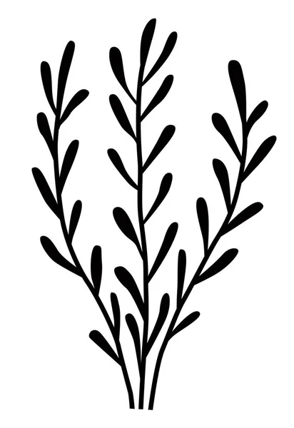 Brindilles Feuilles Silhouettes Décoratives Plantes Algues Lichens Oreilles Pour Décoration — Image vectorielle