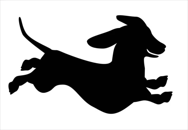 Silueta Dachshund Perro Sonriente Corriendo Sobre Fondo Blanco — Vector de stock