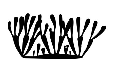 Beyaz arkaplanda mercan resifi silueti