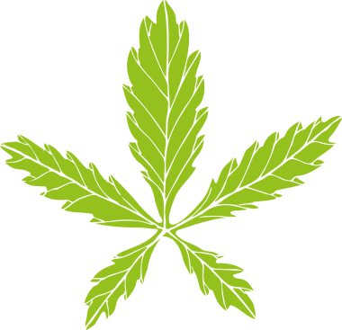 Hemoflebusun yeşil silueti (pudralı Lapchatka)