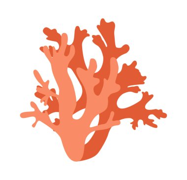 Kızıl mercan güzel bir su hayvanıdır.