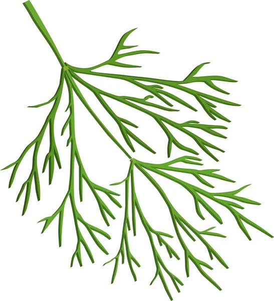 Branche Aneth Verte Pour Logo Icône — Image vectorielle