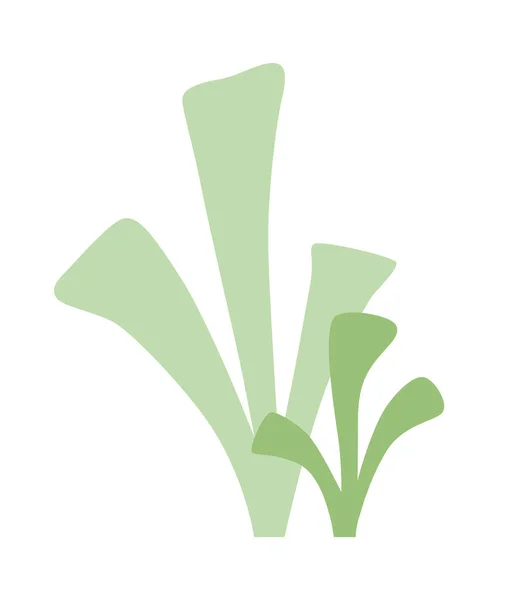 Uma Planta Verde Algas Líquen Estilo Minimalista — Vetor de Stock