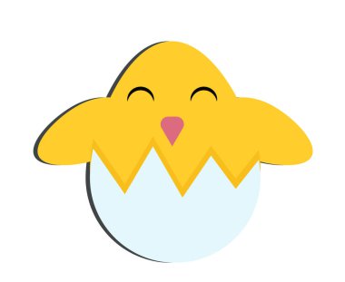 Yumurtadaki küçük sarı tavuk