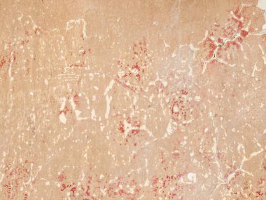 Boyanmış bej rengi pembe bir duvar.