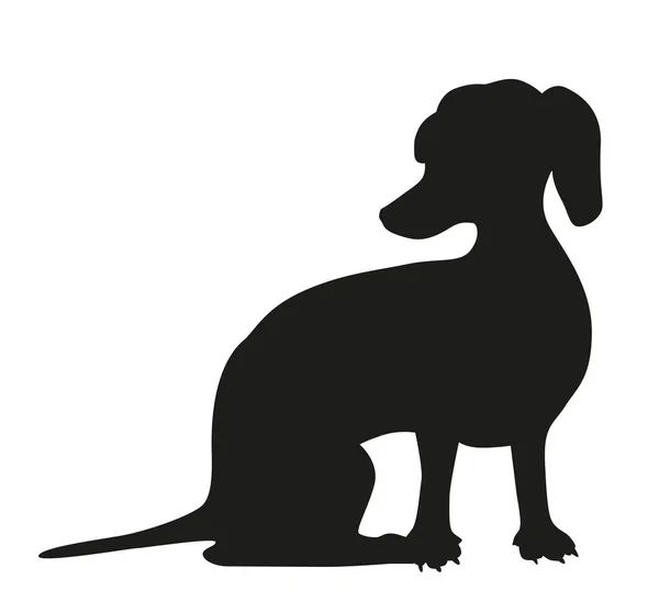 Die Dackel Ikone Sitzt Auf Der Schwarzen Silhouette Eines Hundes — Stockvektor