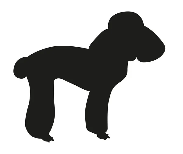 Black Silhouette Poodle Dog Outline Standing Dog — Stock Vector
