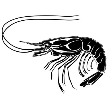 Karides vektör Illustration. Balıkçılık kulüpler, baskı, web ve diğer el sanatları için logo ve amblem oluşturmak için vektör çizim kullanılabilir
