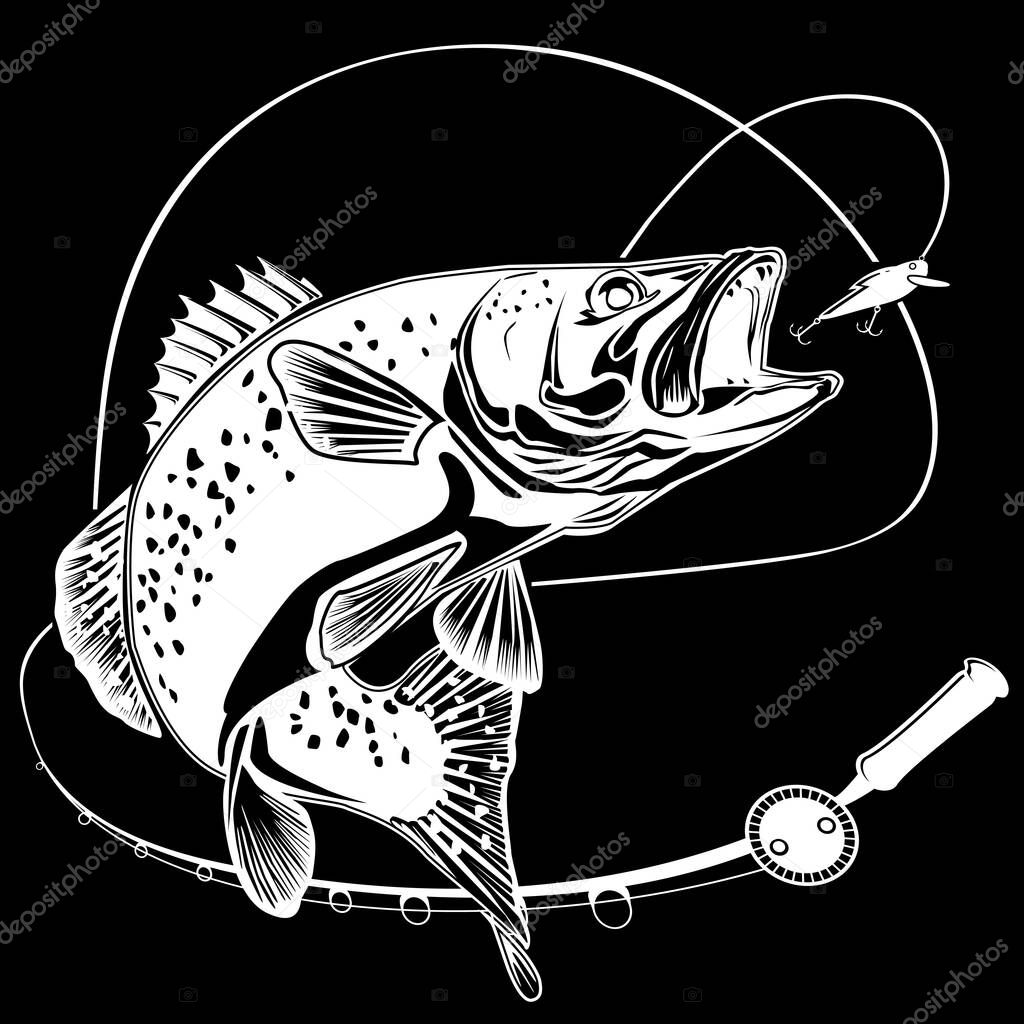 Black and white illustration of wild trout. Vector illustration can be used for web design, cards, logos and other design.