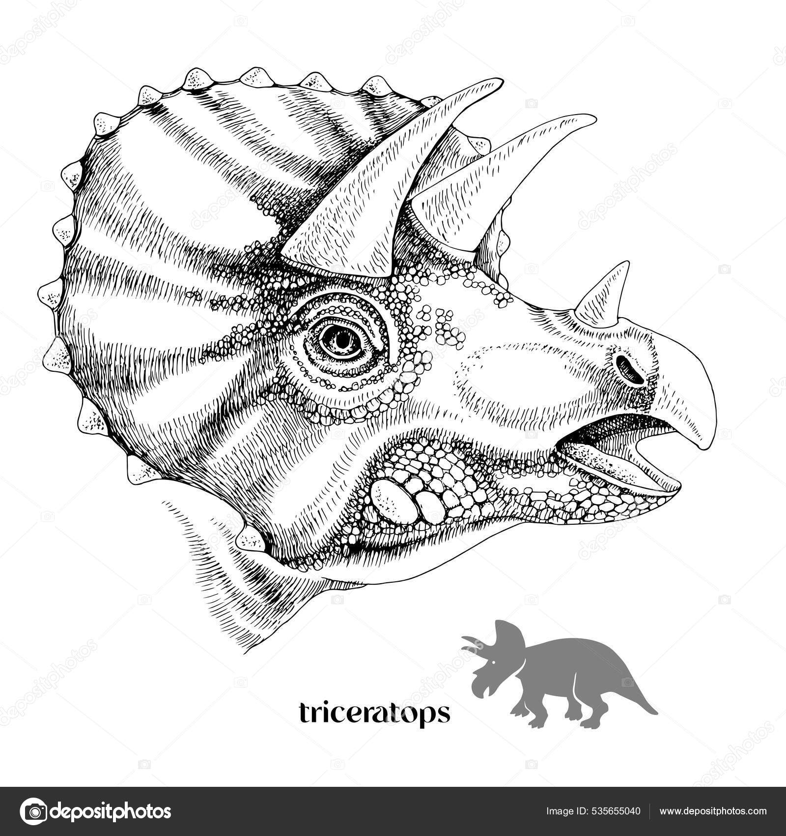 手描きリアルな恐竜のトリケラトプス ストックベクター ©mart_m 535655040, image size:1600x1700
