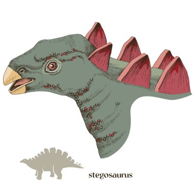 El çizimi gerçekçi dinozor Stegosaurus