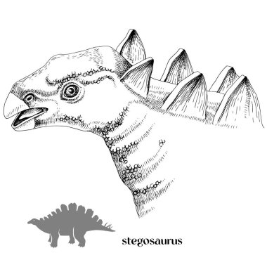 El çizimi gerçekçi dinozor Stegosaurus