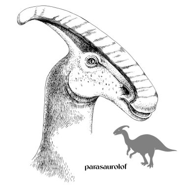 El çizimi gerçekçi dinozor Parasaurolof