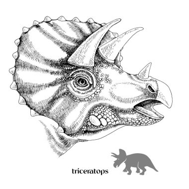 El çizimi gerçekçi dinozor Triceratops