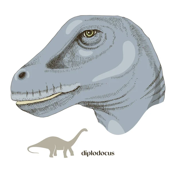 Diplodocus dinosaurio realista dibujado a mano — Vector de stock