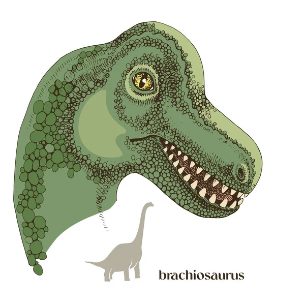 Ручной рисунок реалистичного динозавра брахиозавра — стоковый вектор