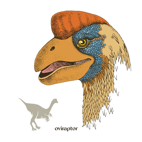 Dinosauro realistico disegnato a mano Oviraptor — Vettoriale Stock