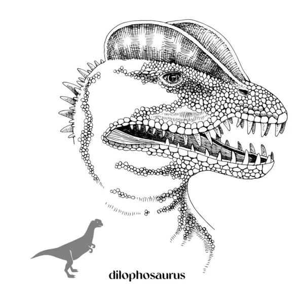 Handritad realistisk dinosaurus Dilophosaurus — Stock vektor