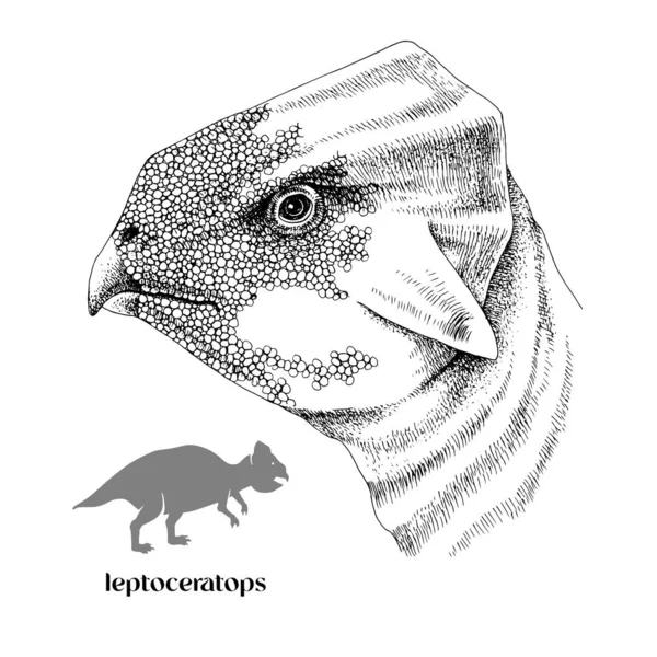 มือวาดไดโนเสาร์จริง Leptoceratops — ภาพเวกเตอร์สต็อก