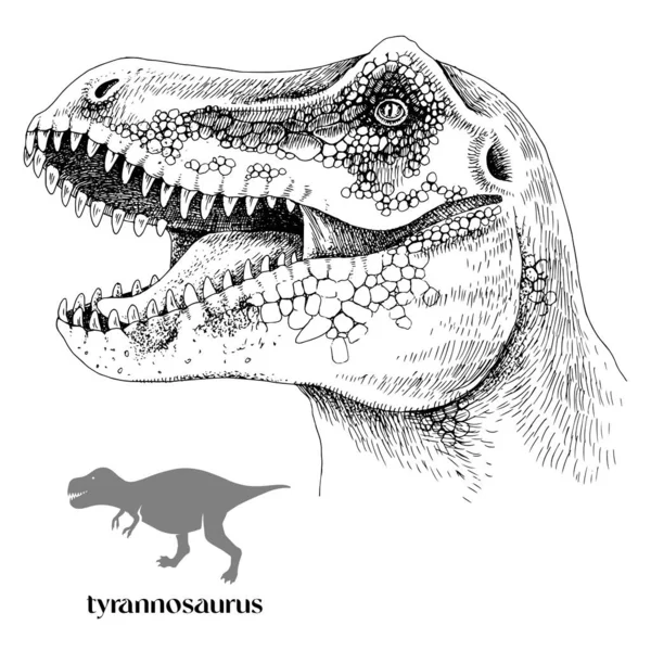 손으로 그린 현실적 인 유로스 t-rex — 스톡 벡터