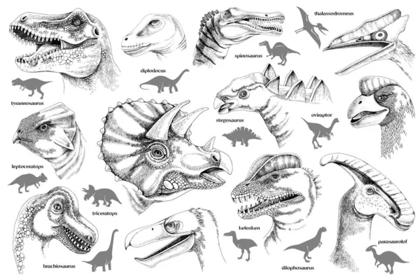 Zestaw ręcznie rysowanych monochromatycznych realistycznych dinozaurów. — Wektor stockowy