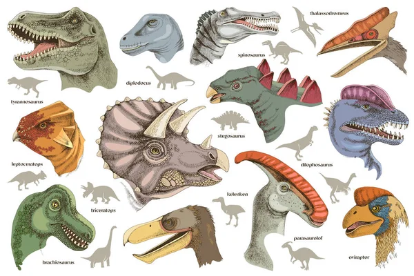 Juego de dinosaurios realistas dibujados a mano. — Archivo Imágenes Vectoriales