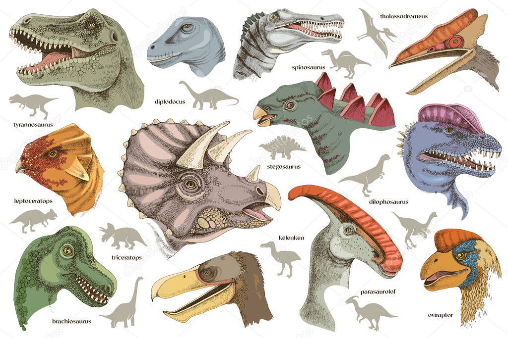 Set of hand drawn realistic dinosaurus.