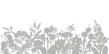 Yabani otlar ve çiçeklerle soyut sınır.