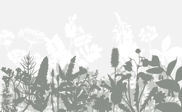 Borde abstracto con hierbas y flores silvestres. — Vector de stock