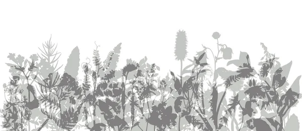 Abstract border with wild herbs and flowers. Stock Illustration