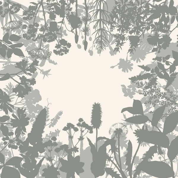Fond abstrait avec des herbes et des fleurs sauvages. — Image vectorielle