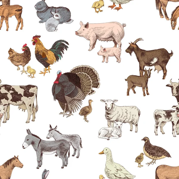 Seamless pattern with cute hand drawn farm animals Royalty Free Stock Vectors