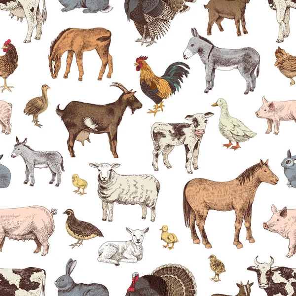 Бесшовный рисунок с красивыми ручными животными — стоковый вектор