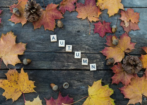Πολύχρωμα Φύλλα Σφενδάμου Φθινόπωρο Ξύλινο Έδαφος Γράμματα Φόντο — Φωτογραφία Αρχείου